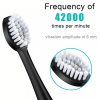 Rechargeable Sonic Electric Toothbrush Brush Heads Toothbrushes for Adults Kids XH - default