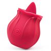 2022 New Frequency Vibration SuckinGModes-Waterproof Hand Wand Massager with Multi Function,Medical Silicone,Rechargeable USB - red