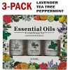 3 Pack - Aromatherapy Essential Oils Gift Set For Humidifiers Oil Diffuser Mist - Essential Oil - Multi color