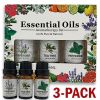 3 Pack - Aromatherapy Essential Oils Gift Set For Humidifiers Oil Diffuser Mist - Essential Oil - Multi color